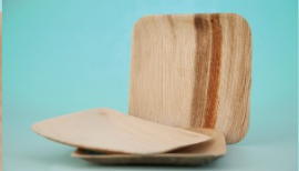 mika pak palm leaf plates